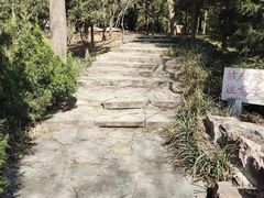 -石家庄市植物园