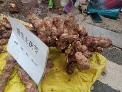 -佛灵湖水上乐园