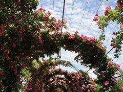 -广富林郊野公园