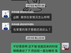 -伟伟宠物医院·CT影像中心·瑞派犬猫综合性门诊(汉口总院)