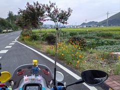 -一味大院•桐庐菜传承店(春江路店)