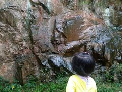 -上海佘山国家森林公园西佘山园