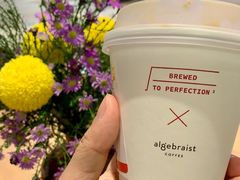 flat&nbsp;white-代数学家algebraist(诚品店)