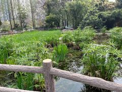 -成都市活水公园
