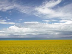 -青海湖国家重点风景名胜区