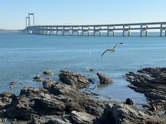 -星海湾跨海大桥