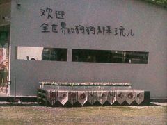 -爪吧宠物乐园 (温榆河示范区店)