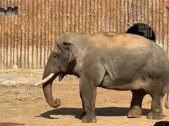 -济南野生动物世界