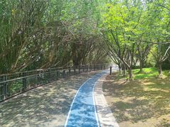 -苏州河梦清园环保主题公园