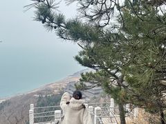 -石老人观光园