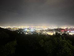 -仙岳公园