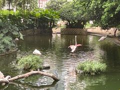 -九龙公园