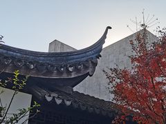 -秋霞圃