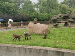 -齐齐哈尔龙沙动植物园