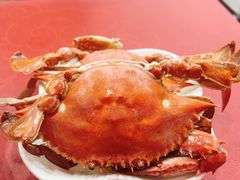 -红灯笼龙凤饭店(宁波老字号店)