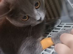 -芭比堂动物医院·CT·微创中心(新顺分院)