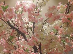 -菲拉拉漫温泉(东环路店)