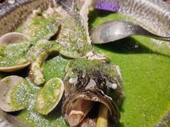 -狮拾久·现代新加坡料理(福田COCO Park店)