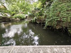 -香然会·园林雅宴(陆家嘴店)