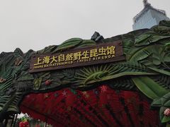 -上海大自然野生昆虫馆(东方明珠·爬宠昆虫探索中心)