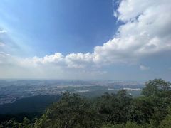 -紫金山山顶公园
