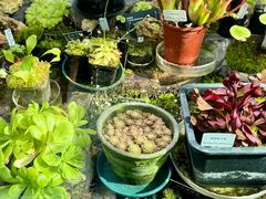 -国家植物园南园