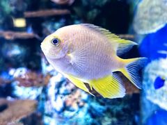 -上海海洋水族馆