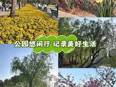 -新江湾城公园