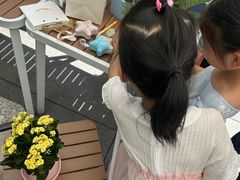 -滩万日本料理Nadaman(国贸大酒店)
