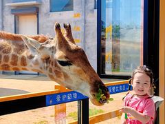 -西霞口神雕山野生动物世界