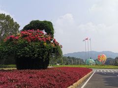 -东南花都花博园