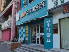 -瑞派宠物医院·24h·骨外科·皮肤科·全科宠物医疗转诊中心(沈阳浑南院)
