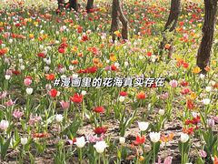 -北陵公园