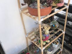 -浔岚云舍mist静谧观景美宿(丽江古城店)