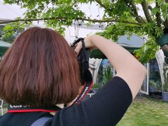 -鹅湖玫瑰文化园