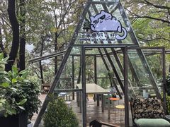 -沂蒙山旅游区云蒙景区(蒙山国家森林公园)