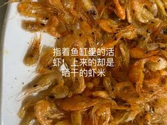 -湖景渔湾