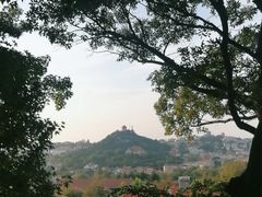 -青岛海滨风景区小鱼山