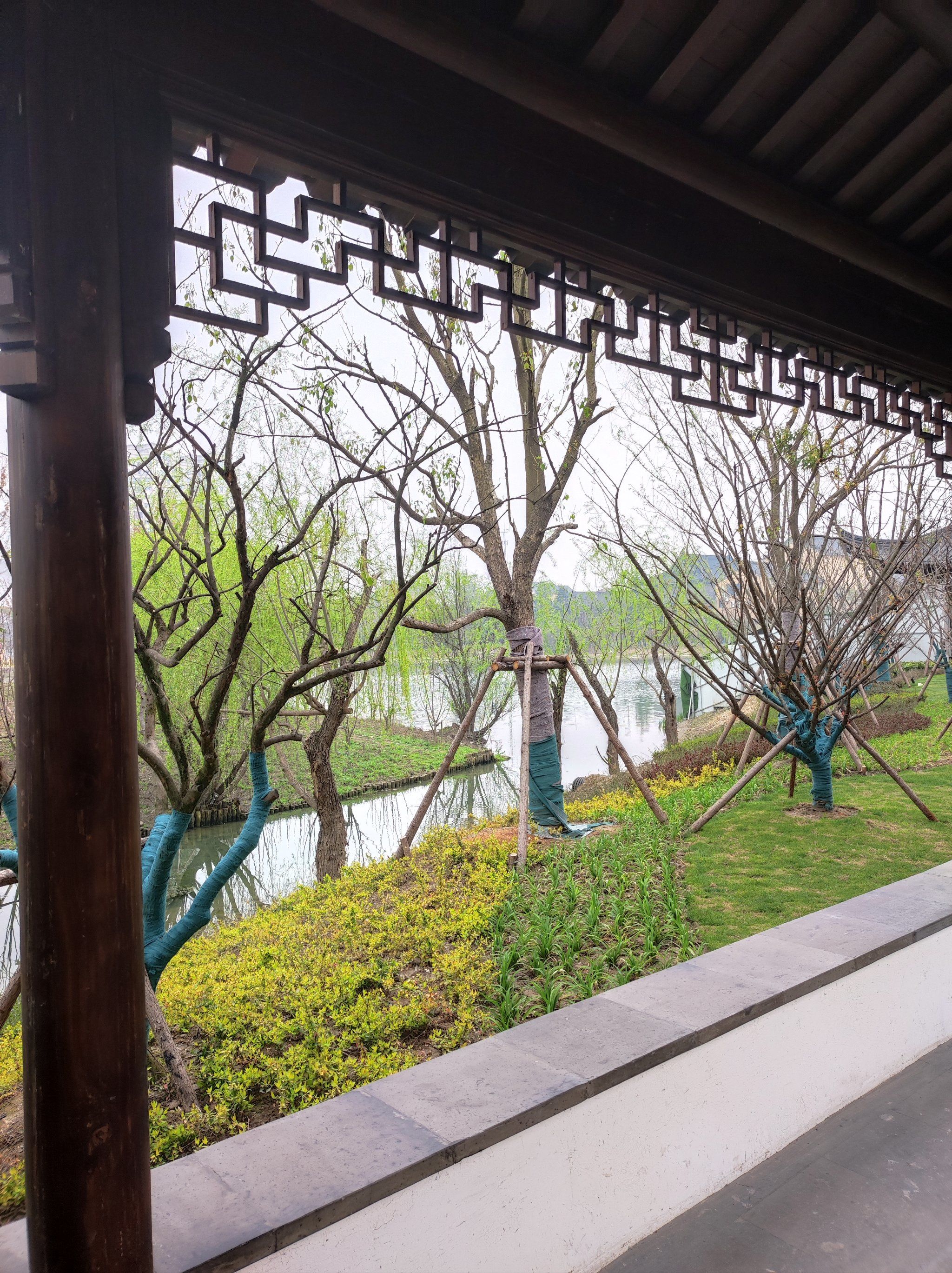 新开放的华泾公园,绝对老少咸宜