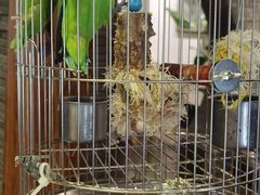 -苏州独墅湖书香世家酒店