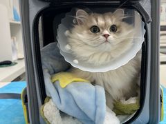 -达爱动物医院·犬猫分区·CT·复杂眼科(远洋山水分院)