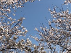 -龙美术馆(西岸馆)