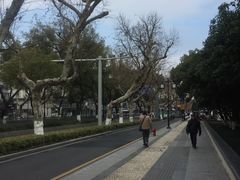 -苏州图书馆(人民路总馆)