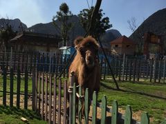 -云漫湖生态度假公园