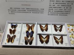 -烟台市博物馆