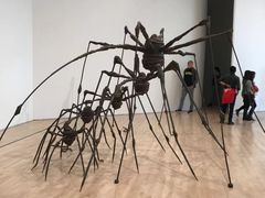 -旧金山现代艺术博物馆