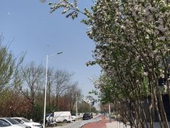 -城市运动公园(未央区)