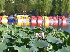 -西海子公园