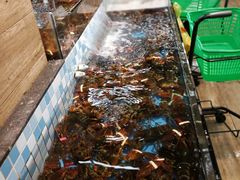 -宝燕海货工场(长江国际店)
