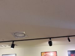 -BHC炸鸡(明洞总店)